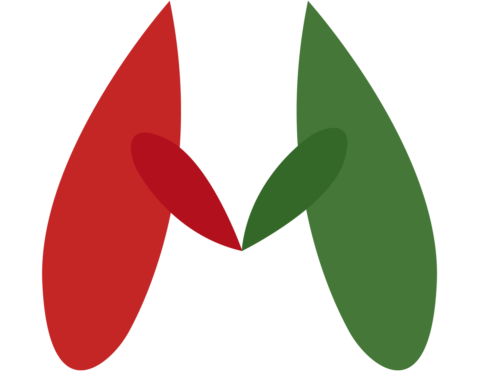 Yacht Merch